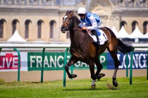 horse race